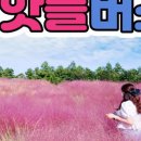 제주무지개투어 이미지