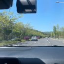 씨유 대전자운대점 | 운전 초보의 연습 일기 1탄 🚘 (in 대전 자운대)