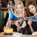 다현(DAHYUN) 티스토리