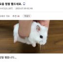 햄들었던 10月 。。。