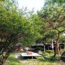 생오리명가 이미지