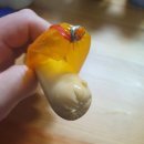 꼬마편의점 이미지