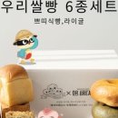 닥터브레드