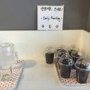 Daily Roasting(데일리 로스팅)