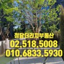 더프론트공인중개사사무소 이미지