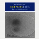 시지 하나로약국 | [마감] 더좋은 비타민C 2종(리포좀비타민C &amp; 릴리즈비타민C)