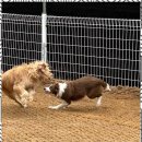 낙원유치원 이미지