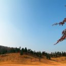 컨트리사이드 이미지