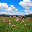 장기리추어탕 이미지