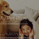 마이펫택시 이미지