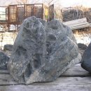 수석오리 이미지