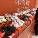 캉골키즈현대대구