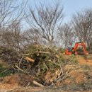 금파농장 이미지