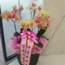 사랑의꽃집