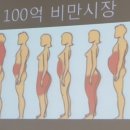 로샤기능성속옷