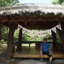 카멜리아의원 이미지