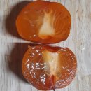 감나무 (persimmon Tree) 이미지