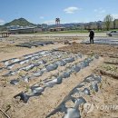 상선농장 이미지