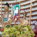 이준열대어 이미지