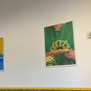 와플대학 수원호매실캠퍼스 이미지