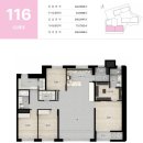 리치오션 이미지