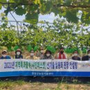 샤인컨설팅