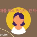 홀리피앗 이미지
