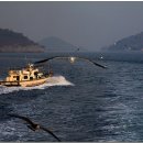 여안초등학교 이미지