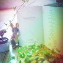 원 포토 스튜디오 이미지
