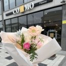 꼬모플레리 이미지