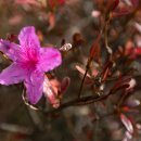 독산성 동문 이미지