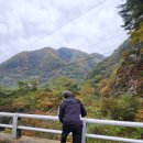 하옥산장펜션 이미지