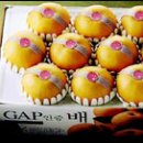신세계경기GAP - 12238 | 신세계경기GAP