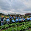 강서구치매안심센터 이미지