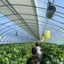 다감농원 이미지