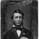 소로 3-5 이미지