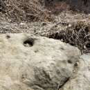 대전둘레산길 이미지