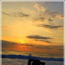 아침의 바다 이미지