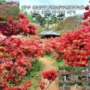 완산-23 이미지