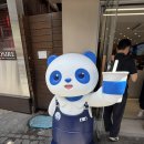카페점보코코 | [차백도 명동2호점 후기] 내돈내산, 서울 중구 명동 SNS 버블티 맛집 신상 카페 메뉴 추천