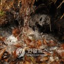 SK텔레콤청송 연합뉴스