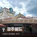 경주월드 | 혼자 경주월드 후기, 평일 방문 꿀팁부터 준비물까지