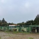 스코비아일랜드 이미지