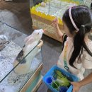 다솜생태체험관 | 아이와가볼만한실내동물체험! 경산다솜생태체험관 내돈내산 솔직후기
