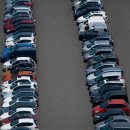 주정차단속-36 이미지