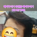 이배재로 177-6 이미지