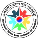 용인대 코리아 태권도 이미지