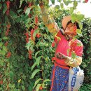 소백산마을농촌체험휴양마을 이미지