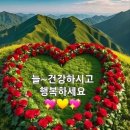 11월05일 화요일 이미지