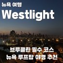 눈과 함께 | 뉴욕 브루클린 웨스트라이트, 눈과 입으로 함께 즐기는 뉴욕 야경 루프탑 내돈내산 후기